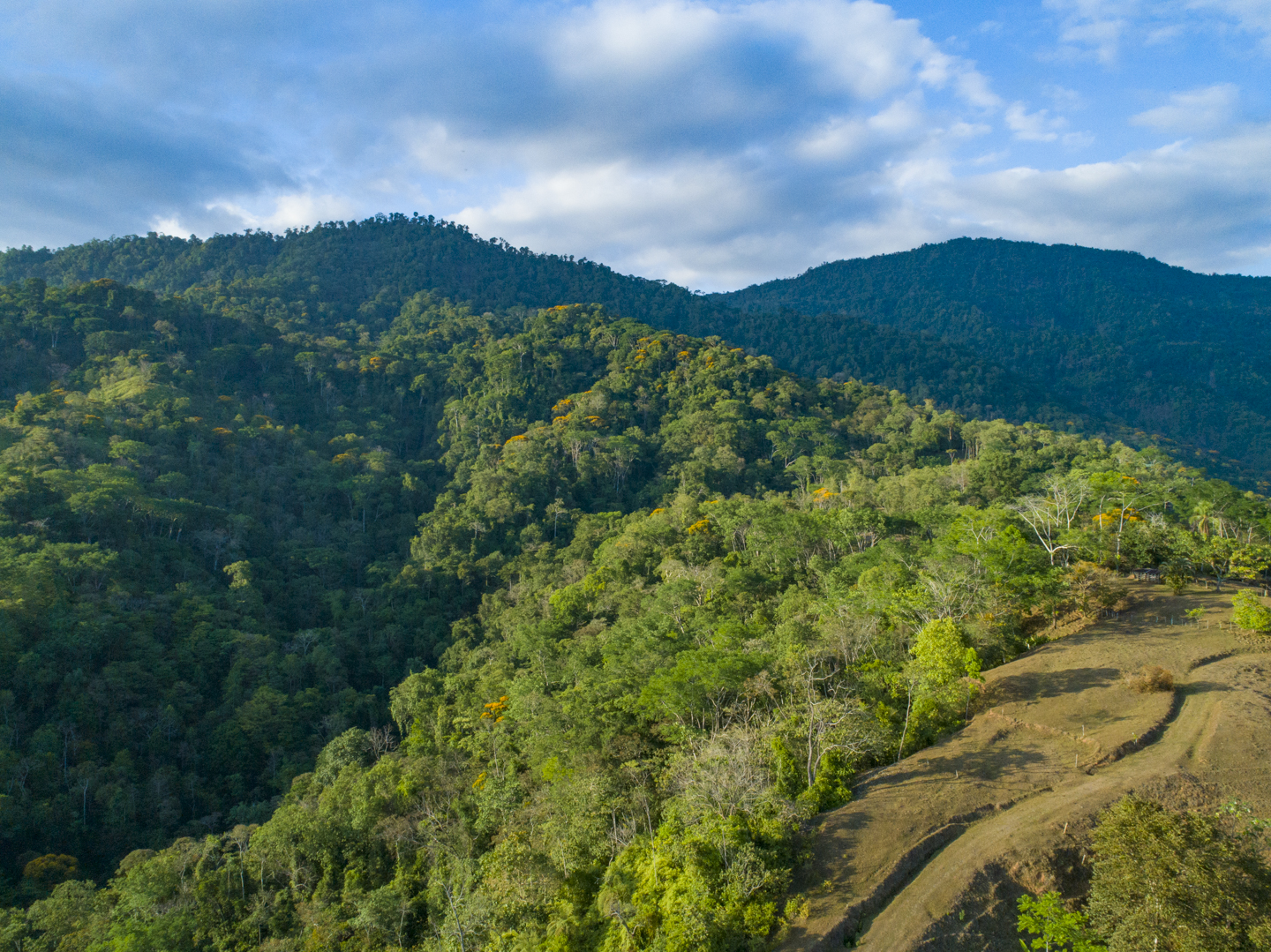 0 bed Land For Sale in Uvita, Puntarenas - thumb 19