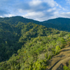  - 227 Acre Eco Farm in Uvita