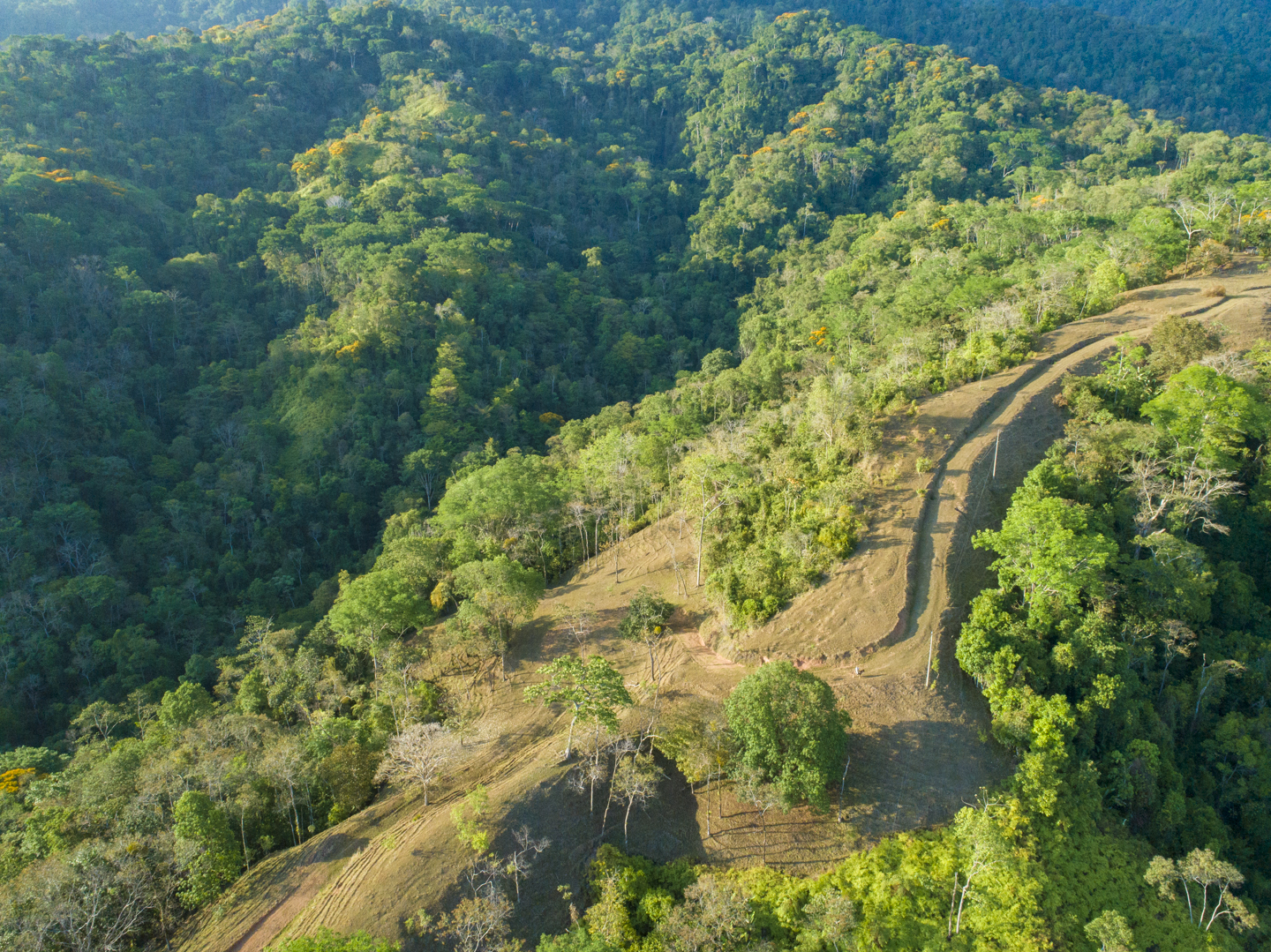 0 bed Land For Sale in Uvita, Puntarenas - thumb 20