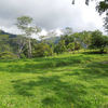  - 227 Acre Eco Farm in Uvita