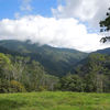  - 227 Acre Eco Farm in Uvita