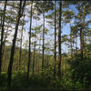  - 227 Acre Eco Farm in Uvita
