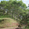  - 227 Acre Eco Farm in Uvita