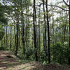  - 227 Acre Eco Farm in Uvita