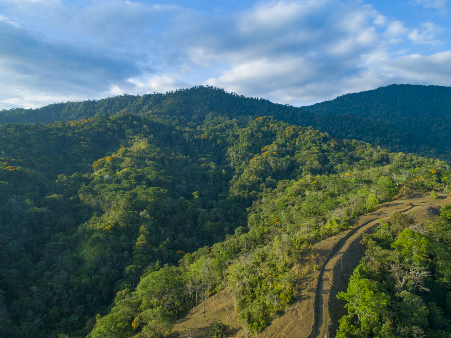 0 bed Land For Sale in Uvita, Puntarenas - thumb 17