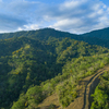  - 227 Acre Eco Farm in Uvita