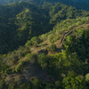  - 227 Acre Eco Farm in Uvita