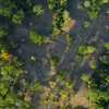  - 227 Acre Eco Farm in Uvita