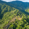  - 227 Acre Eco Farm in Uvita