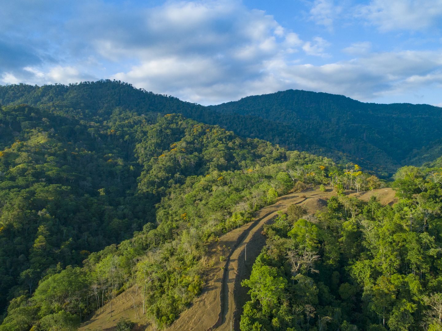 0 bed Land For Sale in Uvita, Puntarenas - thumb 16