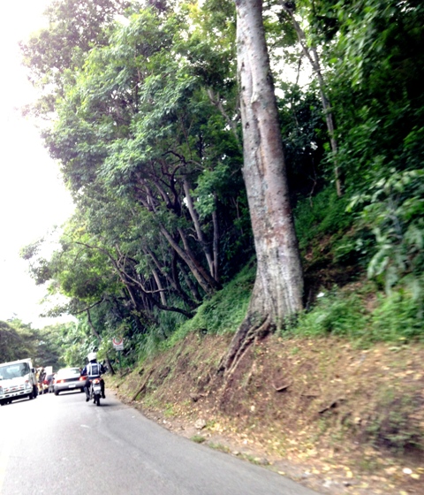 1 bed Land For Sale in Escazu, San Jose - thumb 16