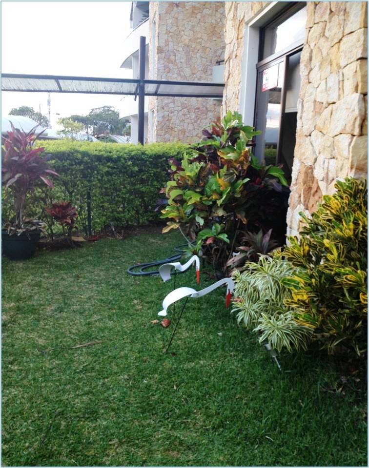 3 bed Apartment For Sale in Escazu, San Jose - thumb 3