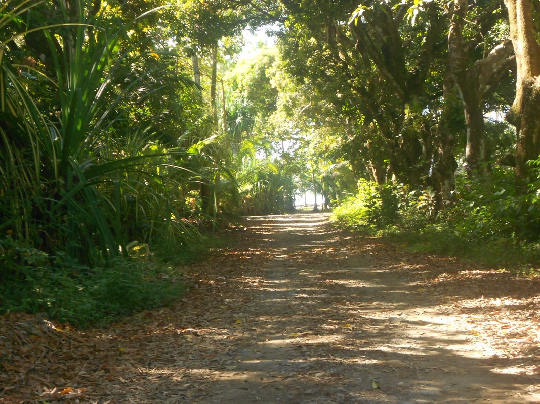 3 bed Single Family Homes For Sale in Matapalo, Puntarenas - thumb 16