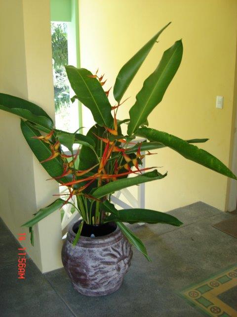 2 bed Single Family Homes For Sale in Manuel Antonio, Puntarenas - thumb 4