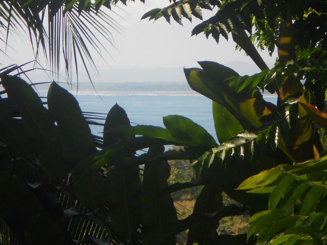 2 bed Single Family Homes For Sale in Manuel Antonio, Puntarenas - thumb 3