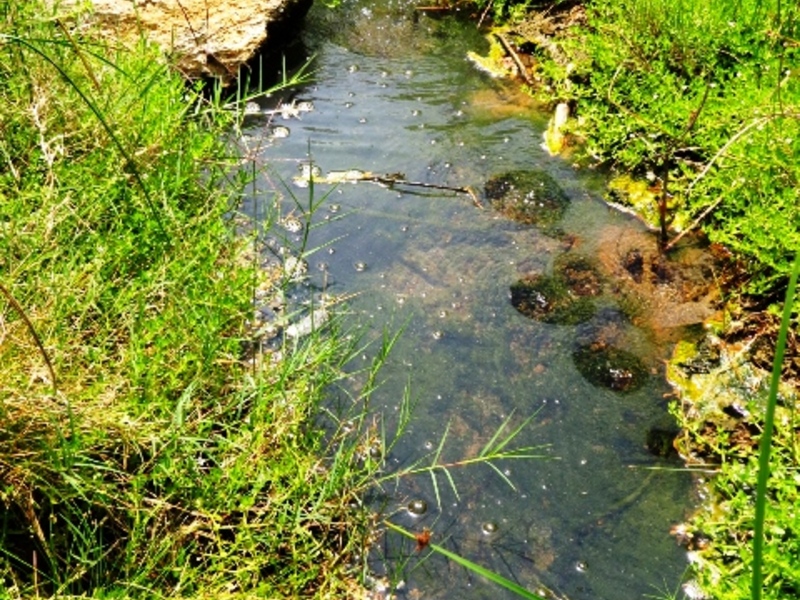 0 bed Land For Sale in Cachí, Cartago - 1