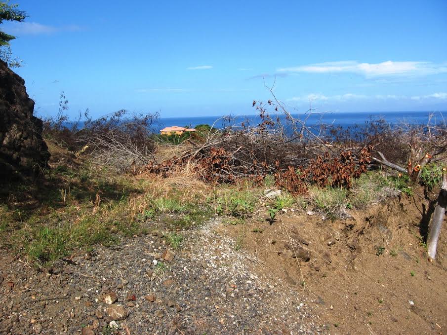 0 bed Land For Sale in Ocotal, Guanacaste - thumb 4