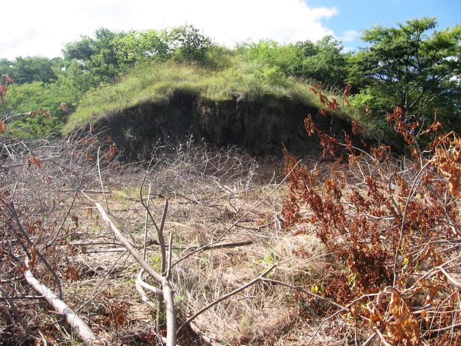 0 bed Land For Sale in Ocotal, Guanacaste - thumb 7