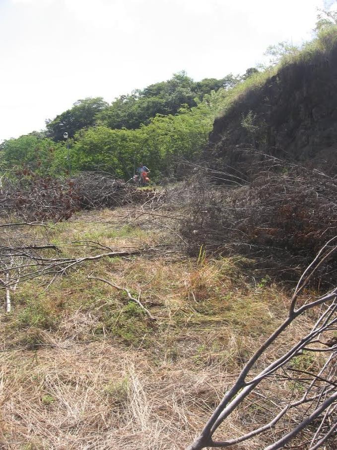 0 bed Land For Sale in Ocotal, Guanacaste - thumb 10