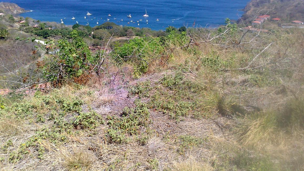 0 bed Land For Sale in Ocotal, Guanacaste - thumb 17