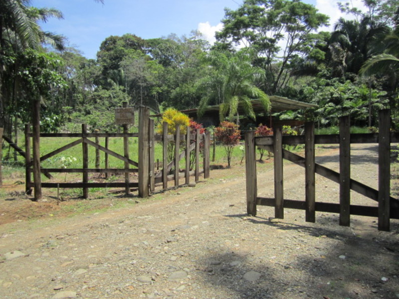 0 bed Land For Sale in Matapalo, Puntarenas - 1