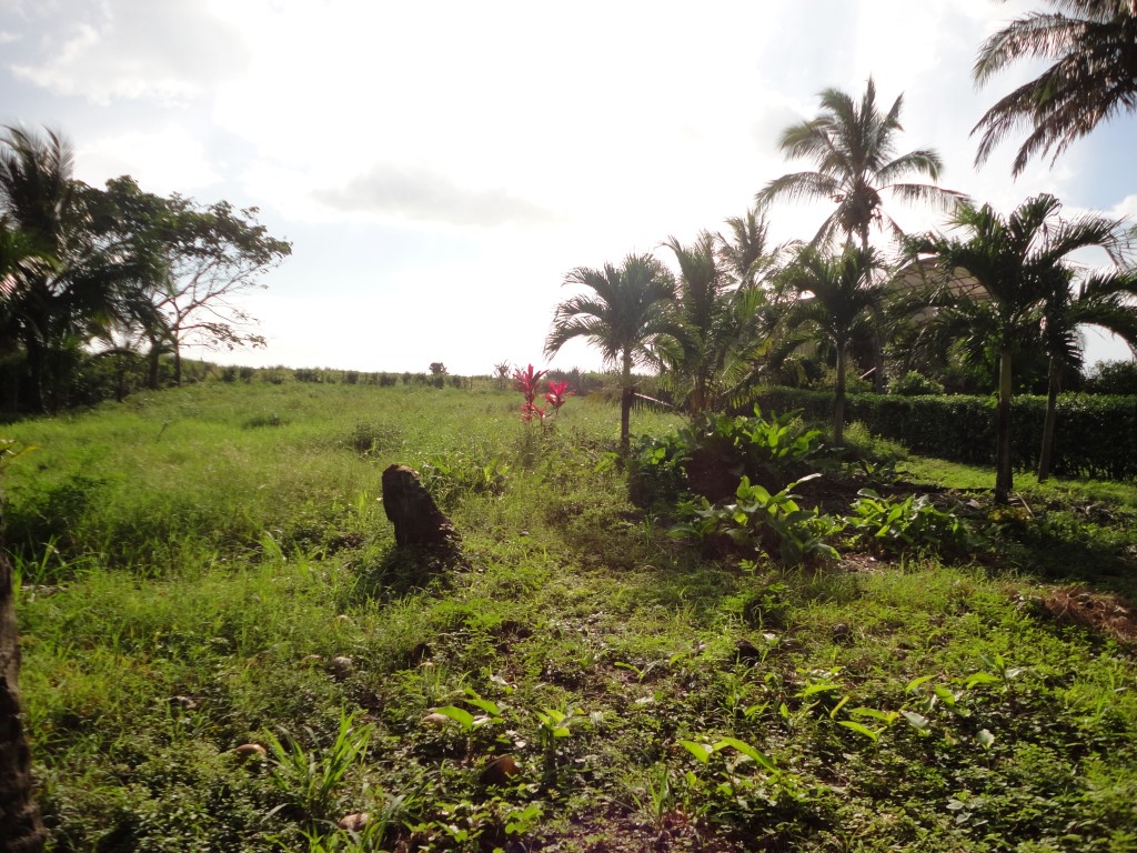 1 bed Single Family Homes For Sale in Junquillal, Guanacaste - thumb 17