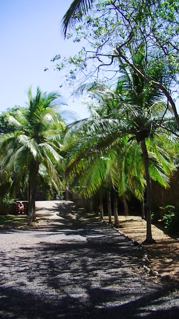5 bed Single Family Homes For Sale in Playas Del Coco, Guanacaste - thumb 25