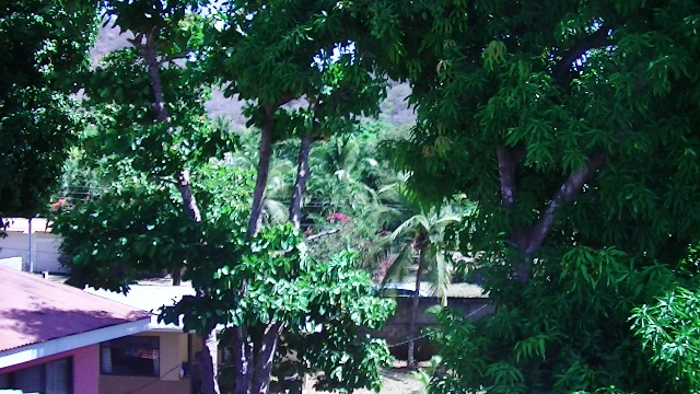 5 bed Single Family Homes For Sale in Playas Del Coco, Guanacaste - thumb 26