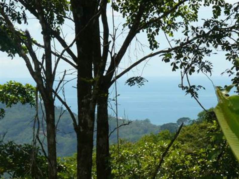 0 bed Land For Sale in Dominical, Puntarenas - 1