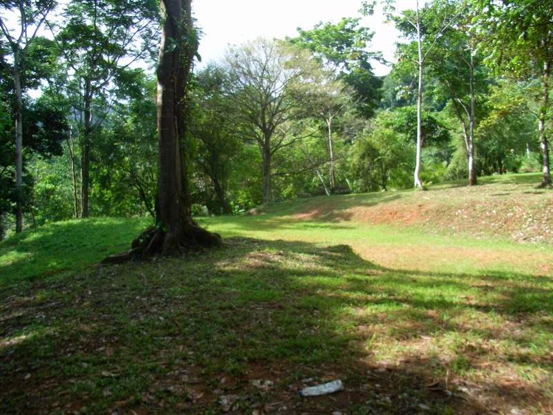 0 bed Land For Sale in Uvita, Puntarenas - 1