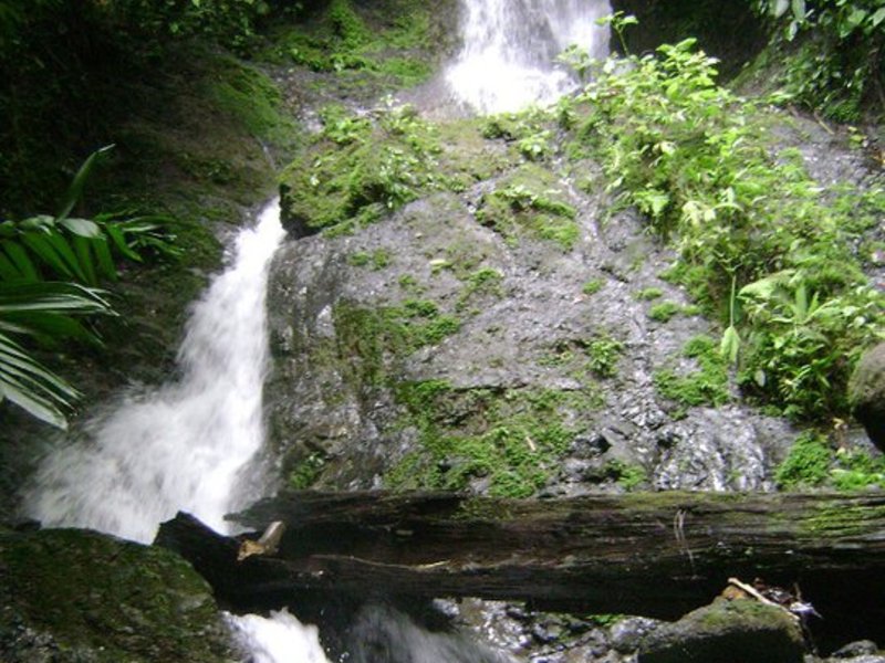 0 bed Land For Sale in Parrita, Puntarenas - 1