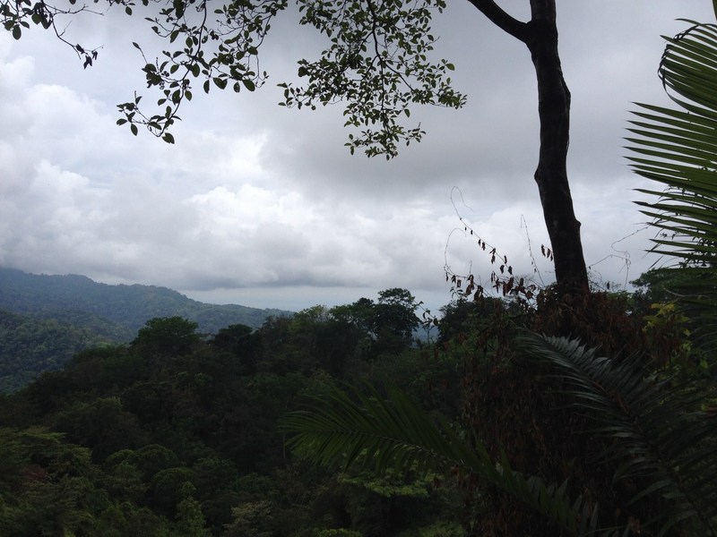 0 bed Land For Sale in Uvita, Puntarenas - 1