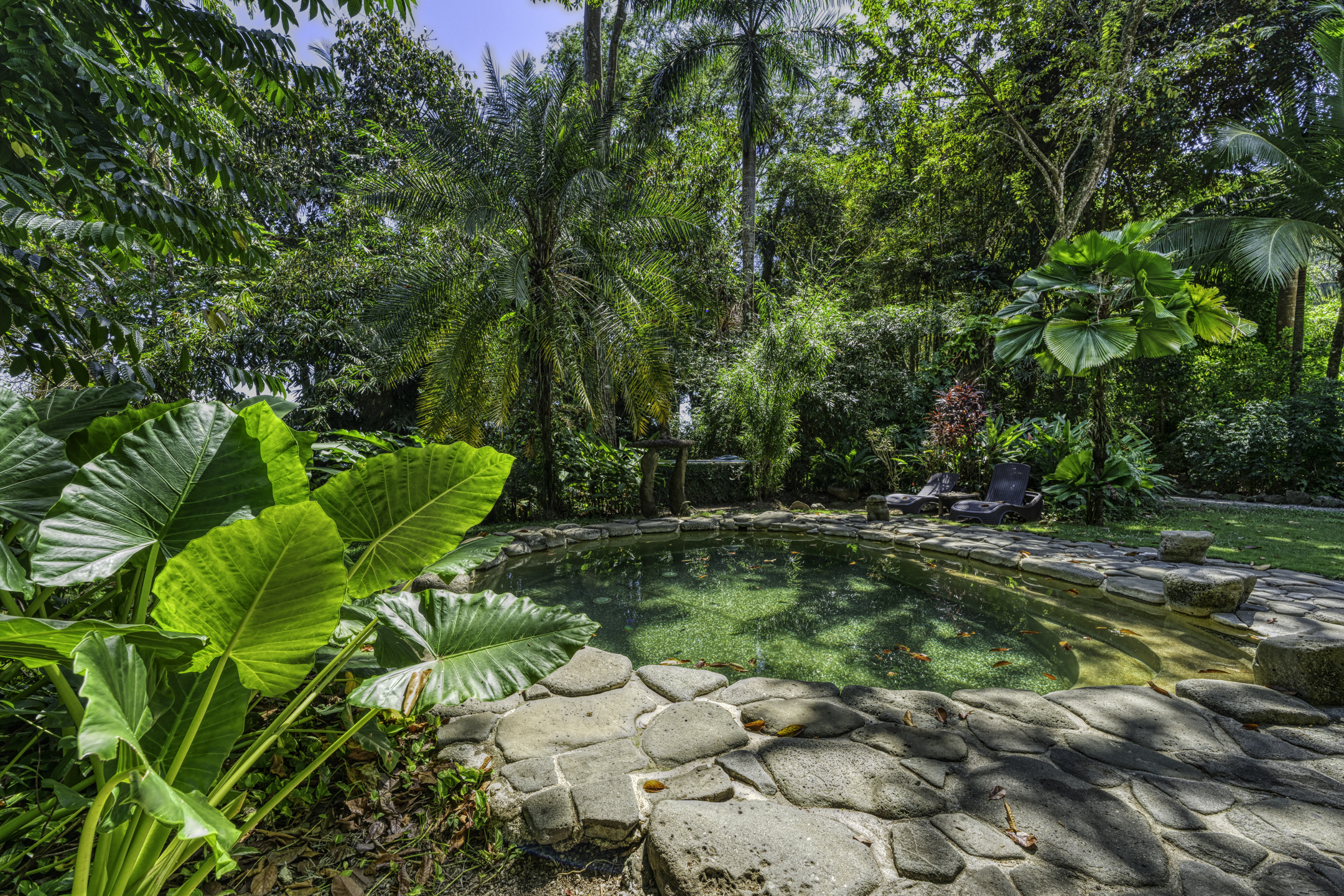 16 bed Hotel / Leisure For Sale in Cabo Matapalo, Puntarenas - thumb 5