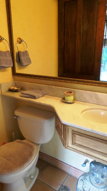 17 bed Condo For Sale in Escazu, San Jose - thumb 20