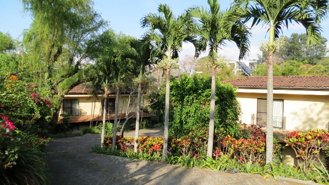 17 bed Condo For Sale in Escazu, San Jose - thumb 8