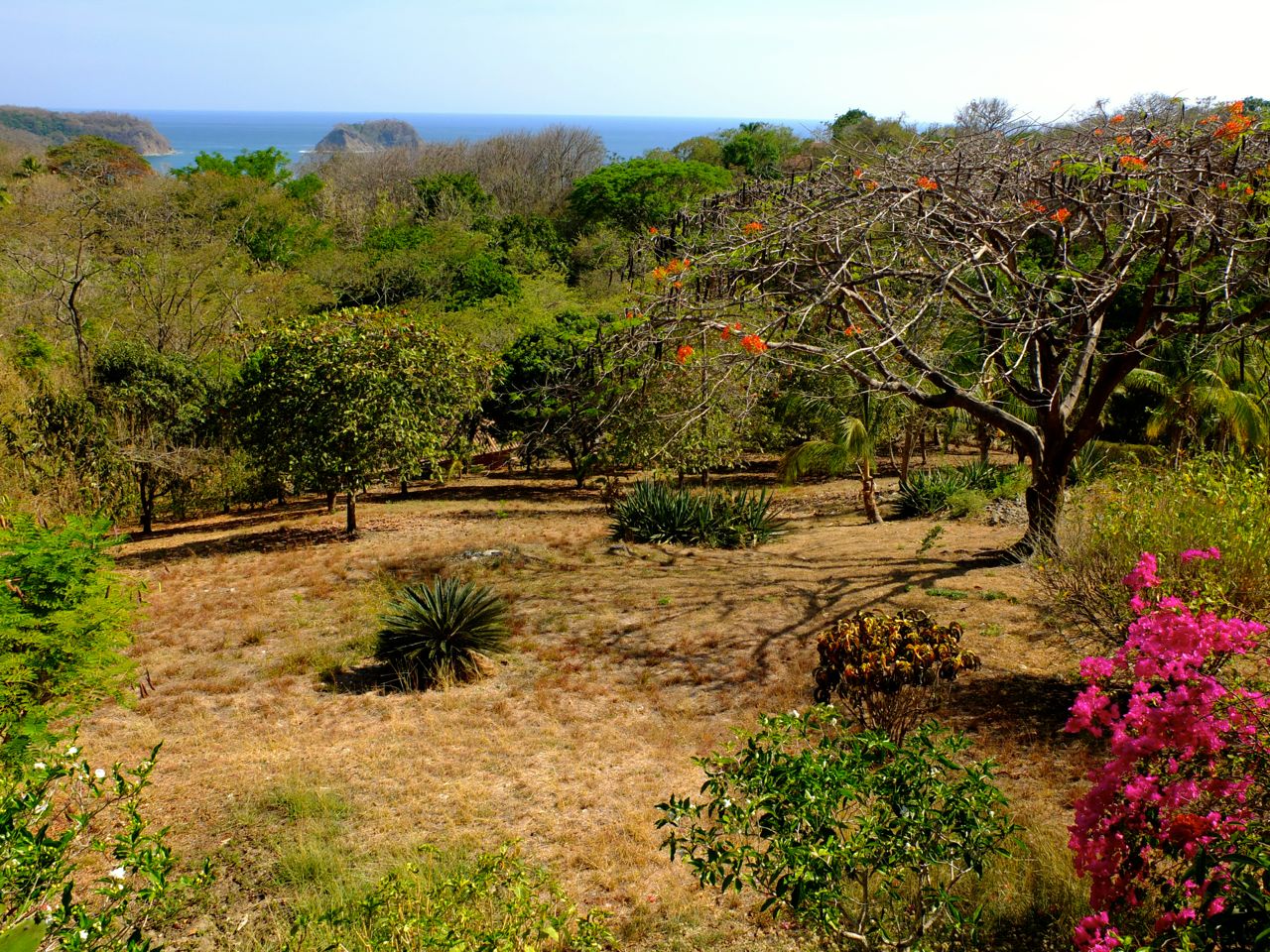 3 bed Single Family Homes For Sale in Samara, Guanacaste - thumb 5