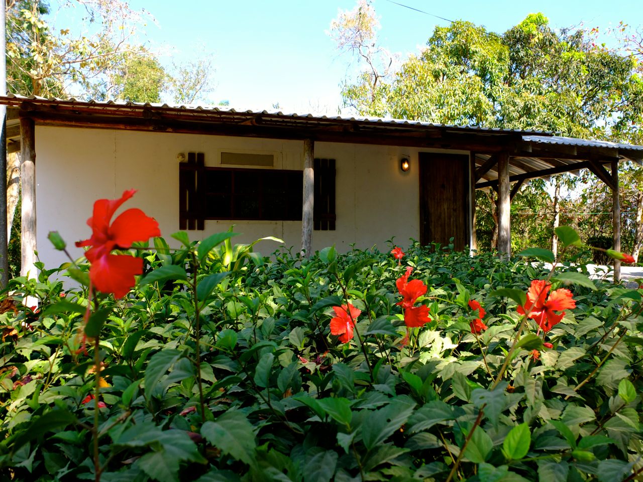 3 bed Single Family Homes For Sale in Samara, Guanacaste - thumb 7