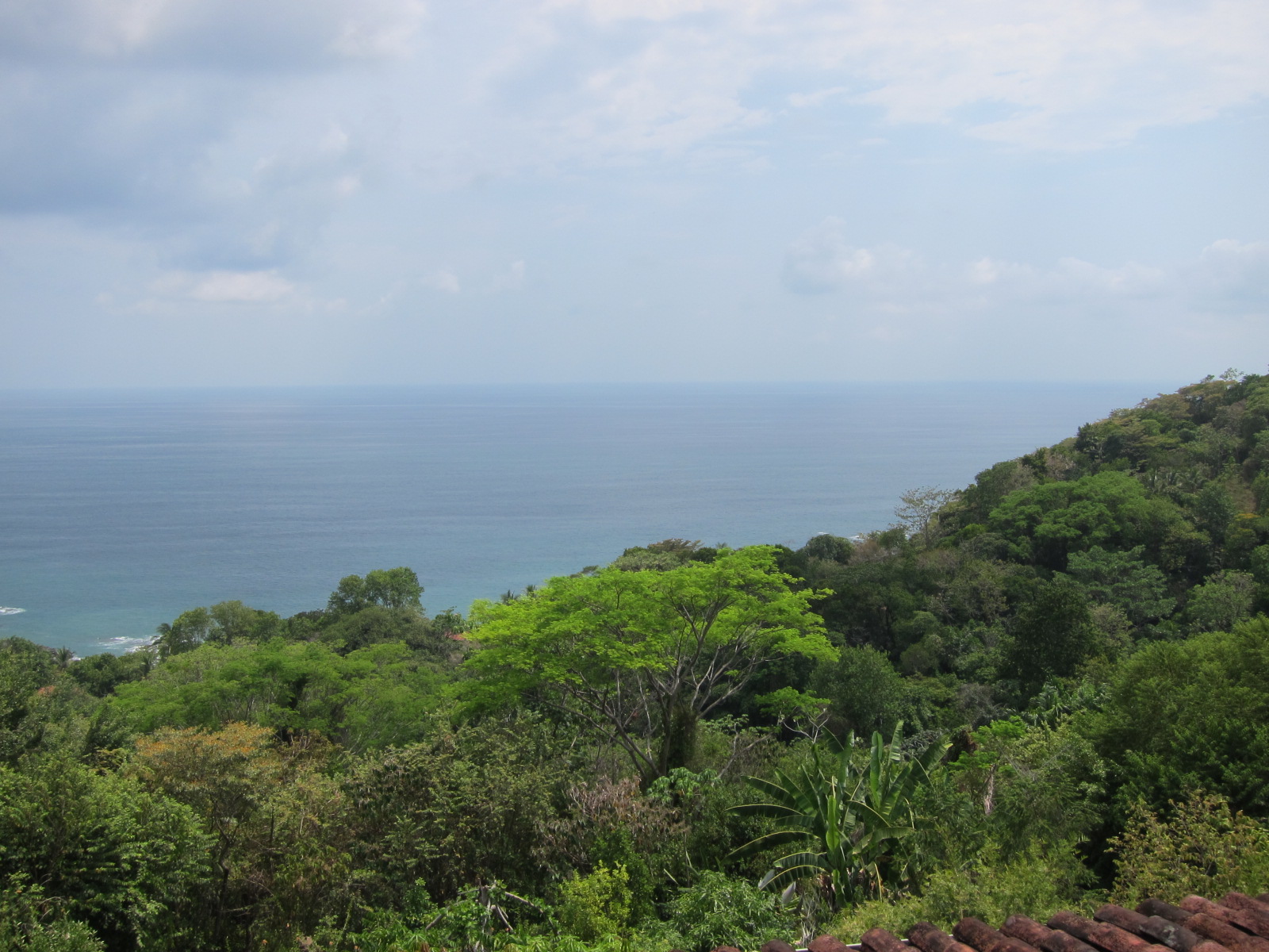 4 bed Single Family Homes For Sale in Dominical, Puntarenas - thumb 22