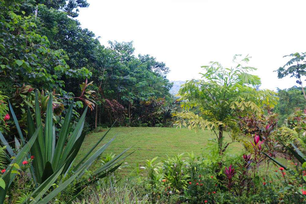 3 bed Single Family Homes For Sale in Ojochal, Puntarenas - thumb 22