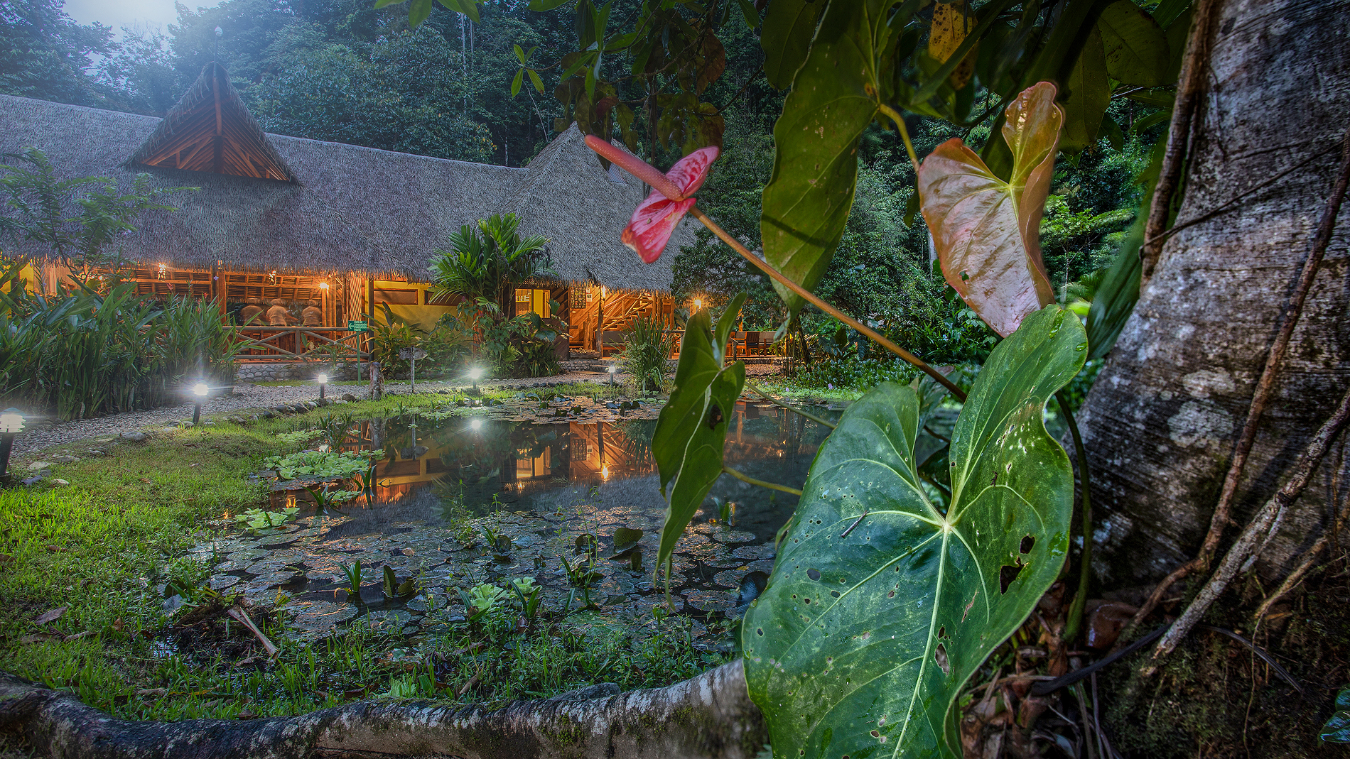 19 bed Hotel / Leisure For Sale in Golfito, Puntarenas - thumb 2