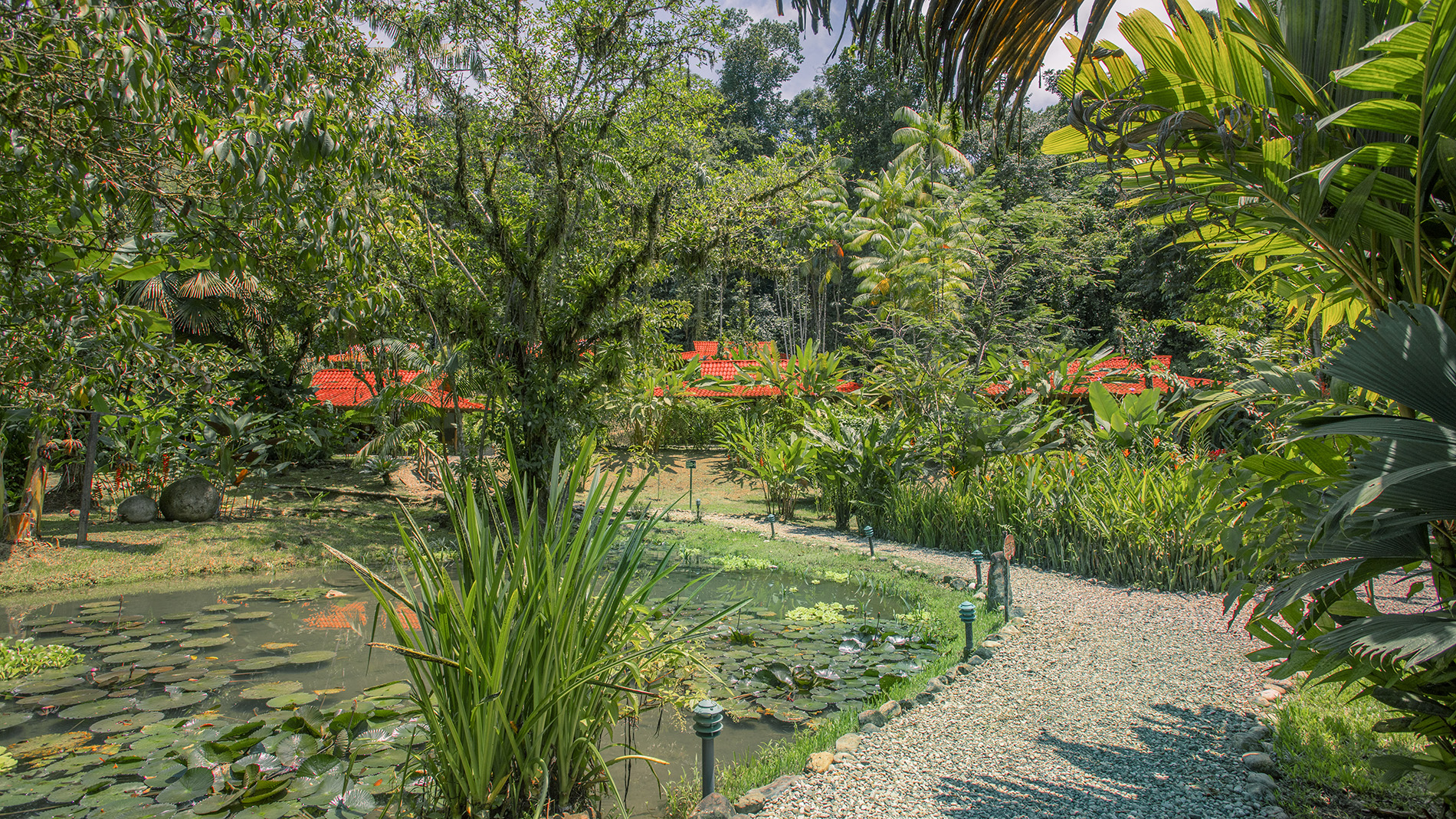 19 bed Hotel / Leisure For Sale in Golfito, Puntarenas - thumb 3