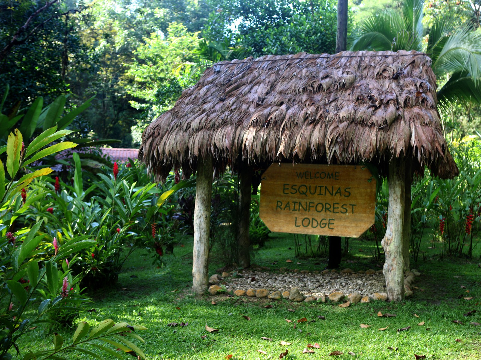 19 bed Hotel / Leisure For Sale in Golfito, Puntarenas - thumb 24