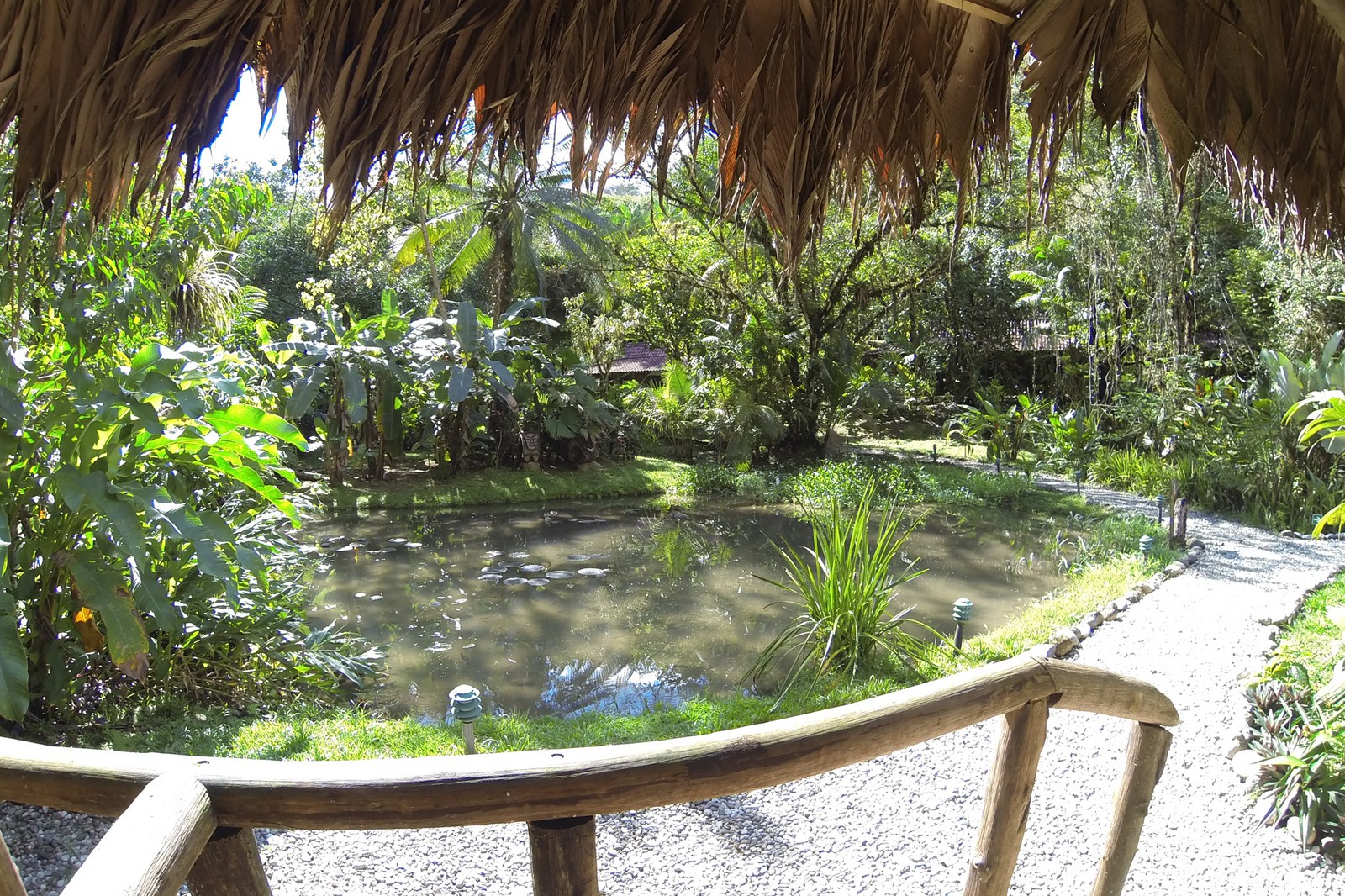 19 bed Hotel / Leisure For Sale in Golfito, Puntarenas - thumb 8