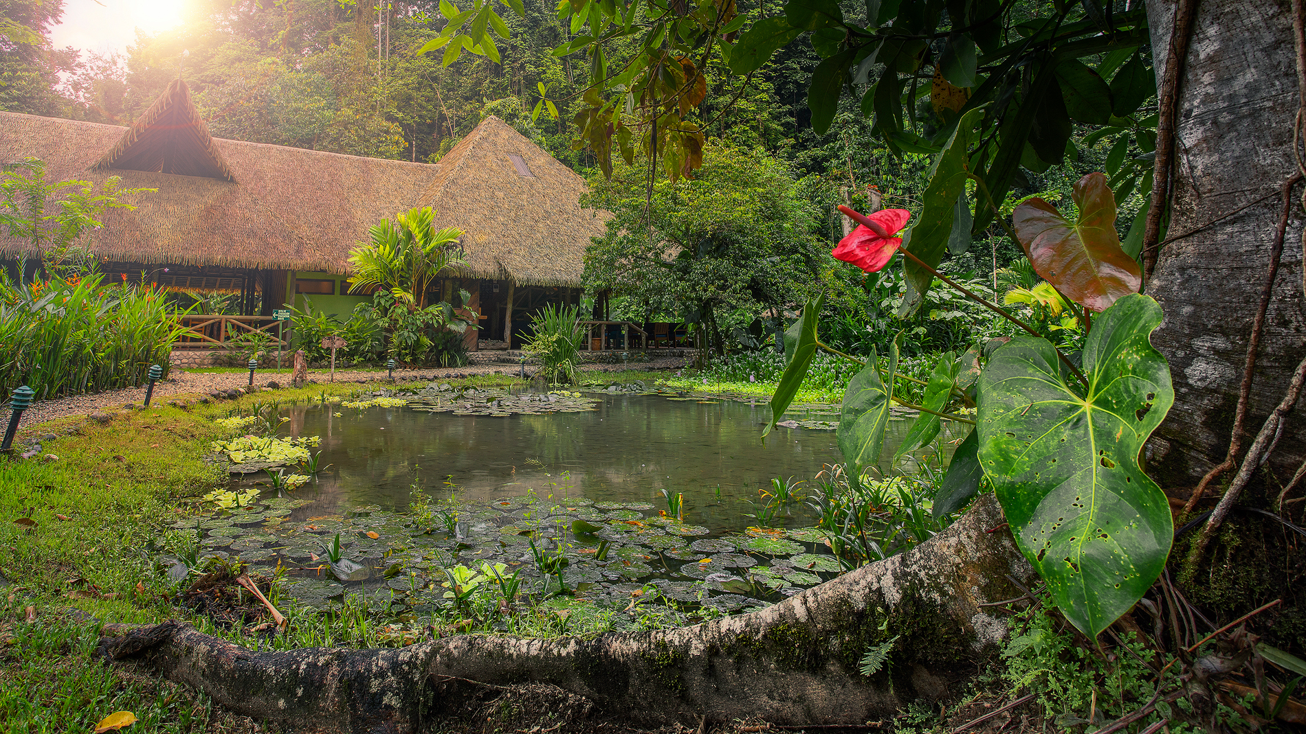 19 bed Hotel / Leisure For Sale in Golfito, Puntarenas - thumb 7