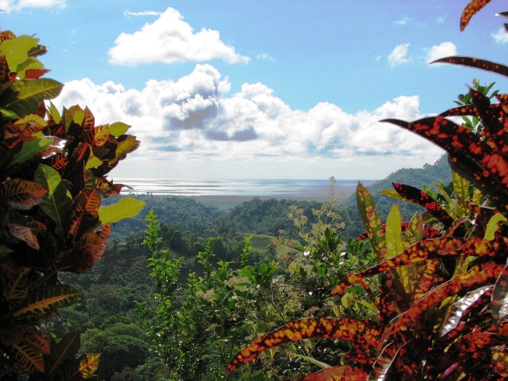 3 bed Single Family Homes For Sale in Ojochal, Puntarenas - thumb 27