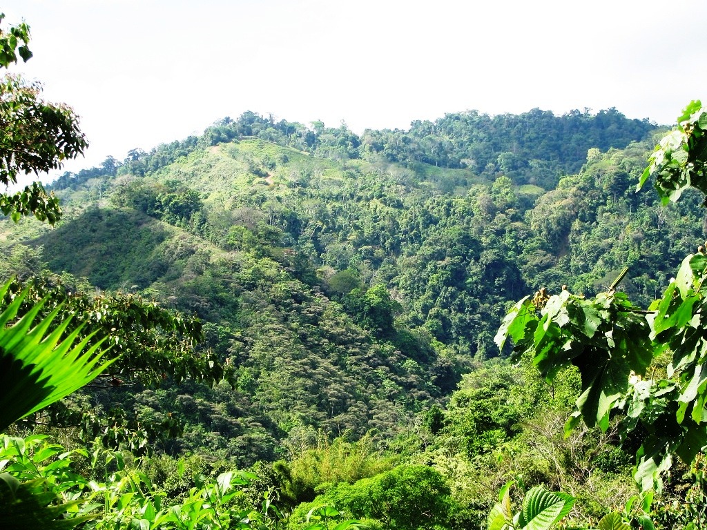 3 bed Single Family Homes For Sale in Ojochal, Puntarenas - thumb 29