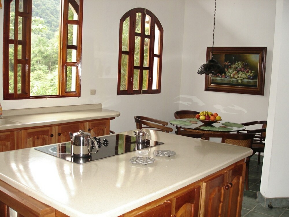 3 bed Single Family Homes For Sale in Ojochal, Puntarenas - thumb 10