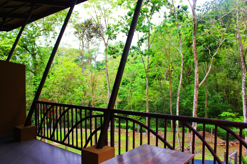4 bed Single Family Homes For Sale in Uvita, Puntarenas - thumb 8