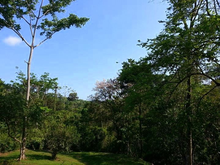 4 bed Single Family Homes For Sale in Uvita, Puntarenas - thumb 17