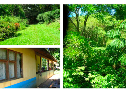 6 bed Land For Sale in Alajuela, Alajuela - thumb 4